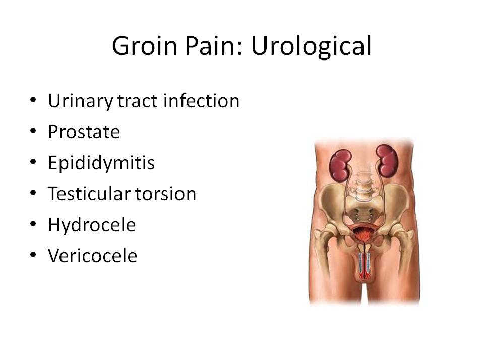 Groin Pain Steven Tippett 2042