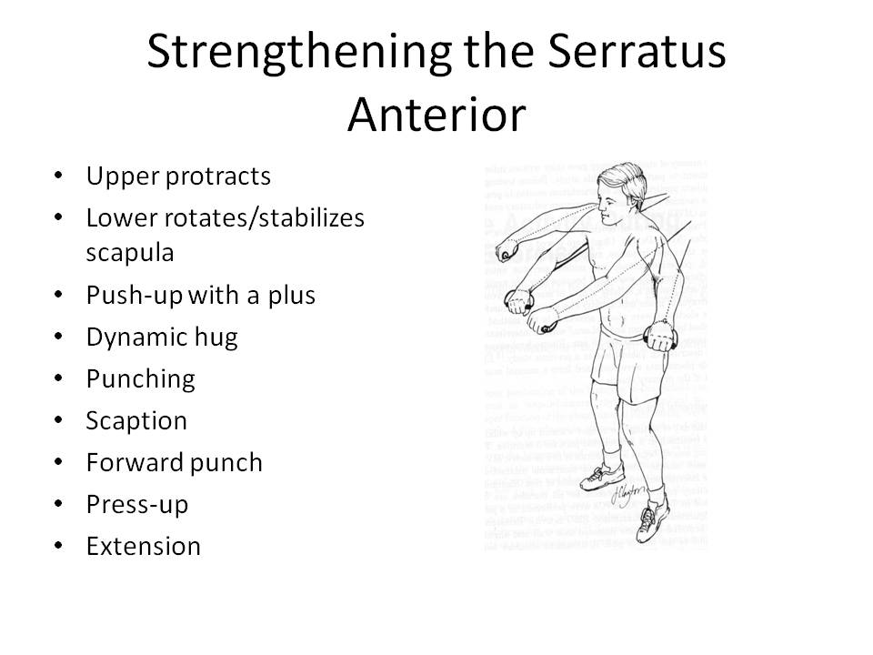 Rotator Cuff Dysfunction Steven Tippett Orthopedics 2037