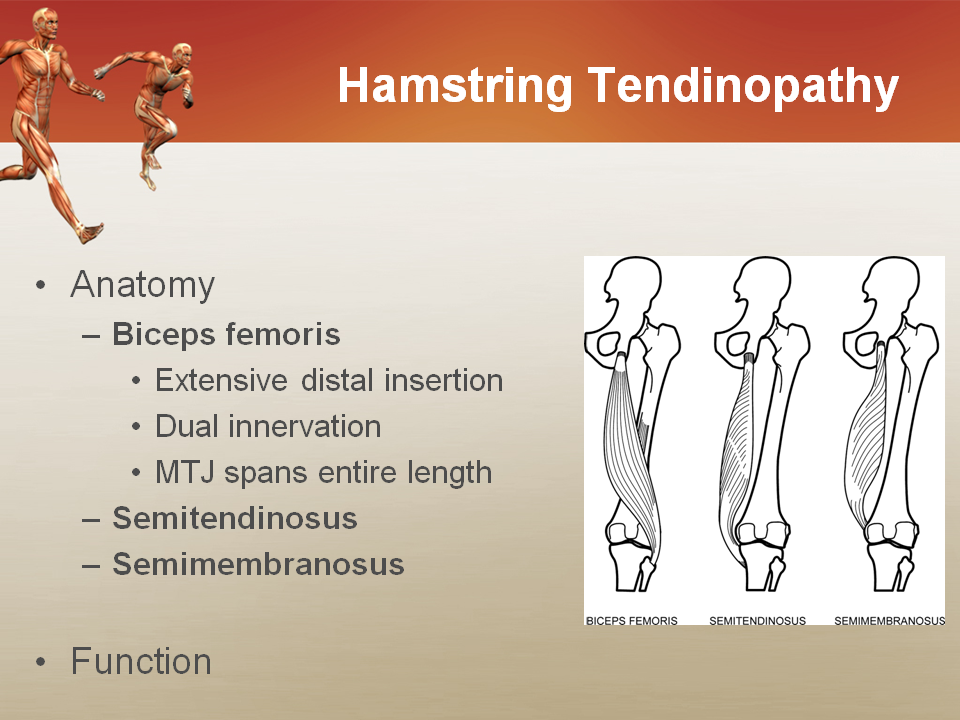 Management of Lower Extremity Tendinopathy David Nolan Orthopedics